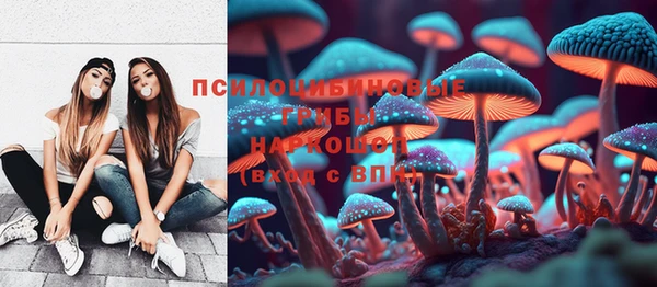 МДПВ Куйбышев