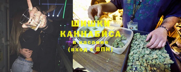прущие грибы Абинск