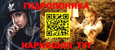 ГАЛЛЮЦИНОГЕННЫЕ ГРИБЫ Дубна