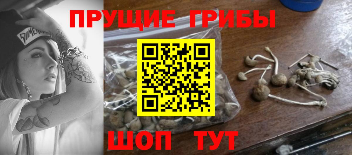 Троицк  магазин продажи   Вход с VPN  Галлюциногенные грибы Cubensis 